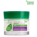 Aloe Vera Regenerating Night Cream